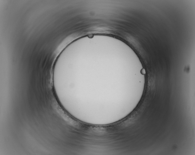 X0000111141370200907211128