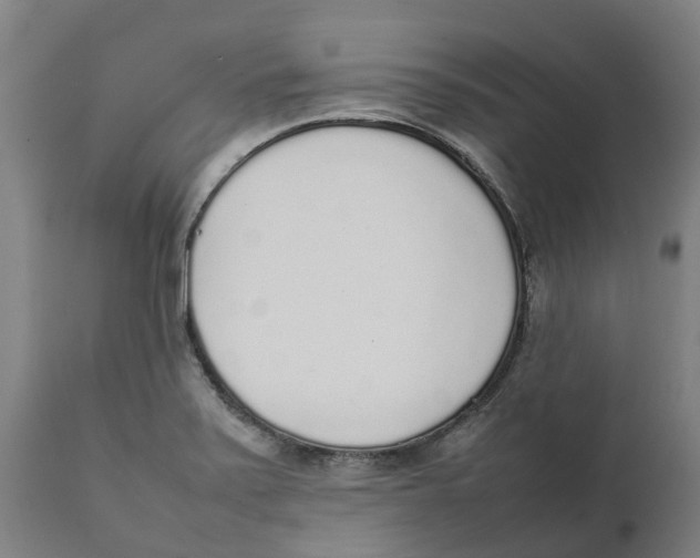 X0000111141371200907211128