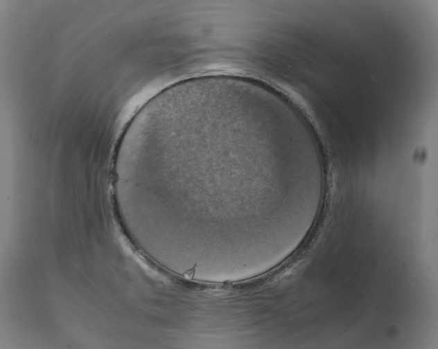 X0000111141373200907211128