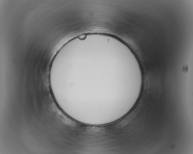 X0000111141374200907211128