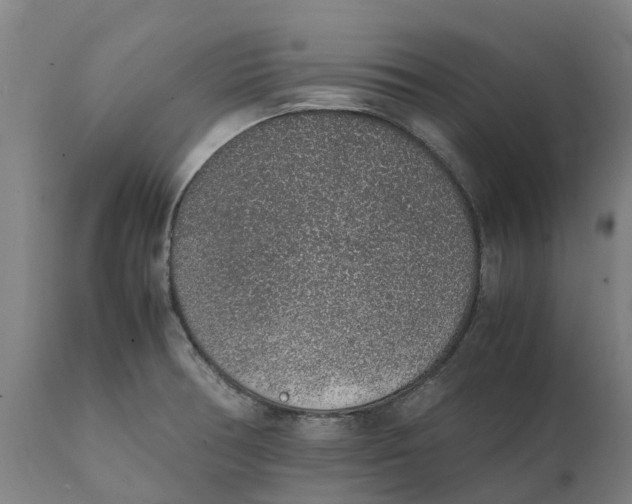 X0000111141378200907211128