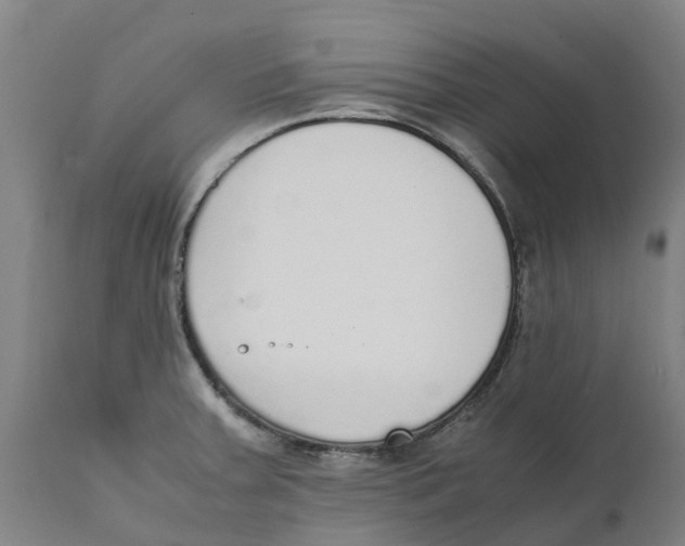 X0000111141379200907211128