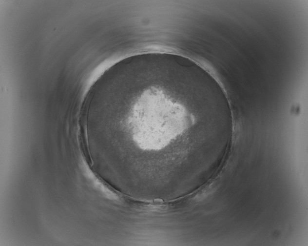 X0000111141381200907211128