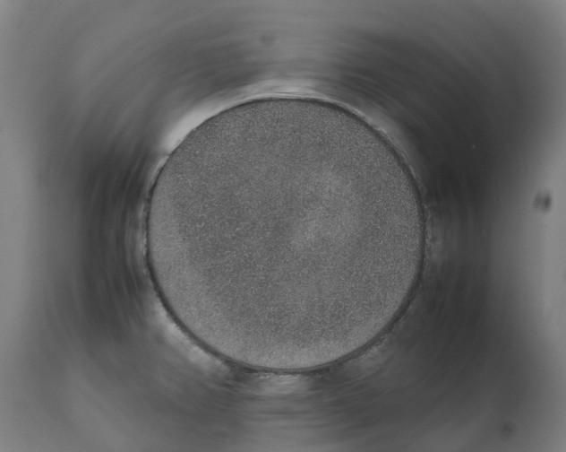 X0000111141382200907211128