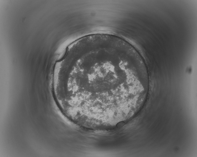 X0000111141383200907211128