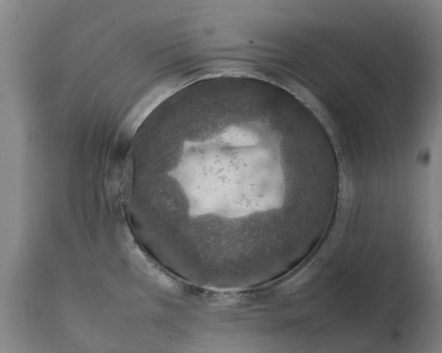 X0000111141385200907211128