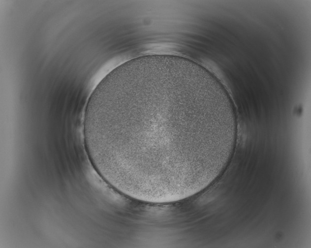 X0000111141386200907211128