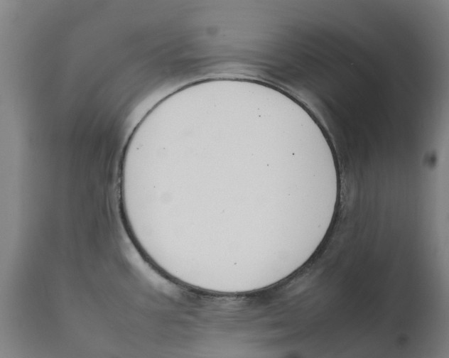 X0000111141387200907211128