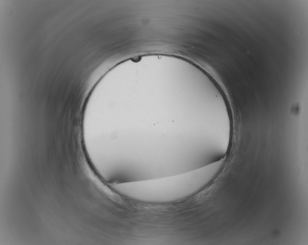 X0000111141389200907211128