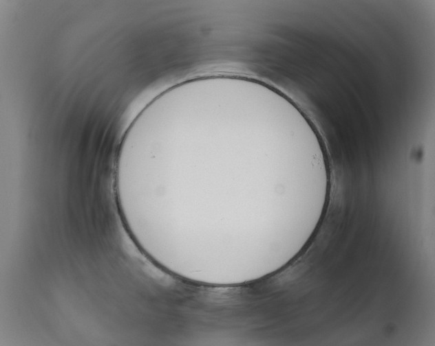 X0000111141390200907211128