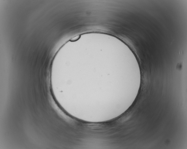 X0000111141391200907211128