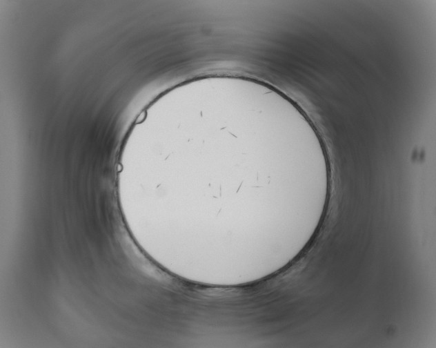 X0000111141392200907211128