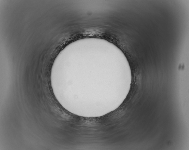 X0000111141393200907211127