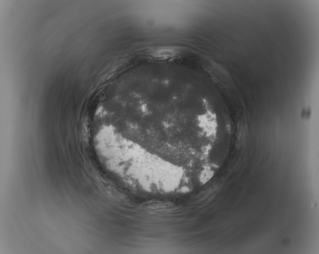 X0000111141394200907211127