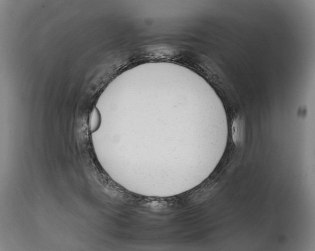 X0000111141395200907211127