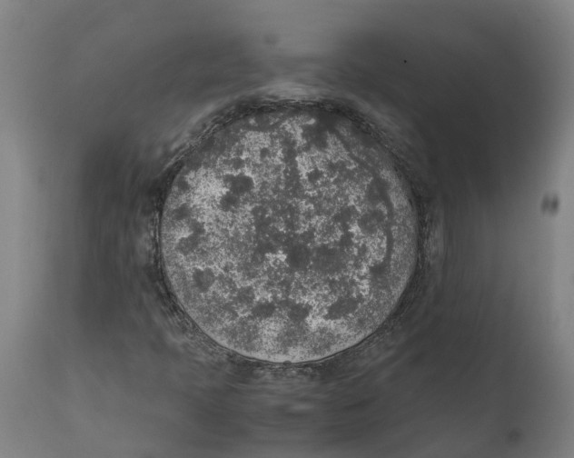 X0000111141397200907211127