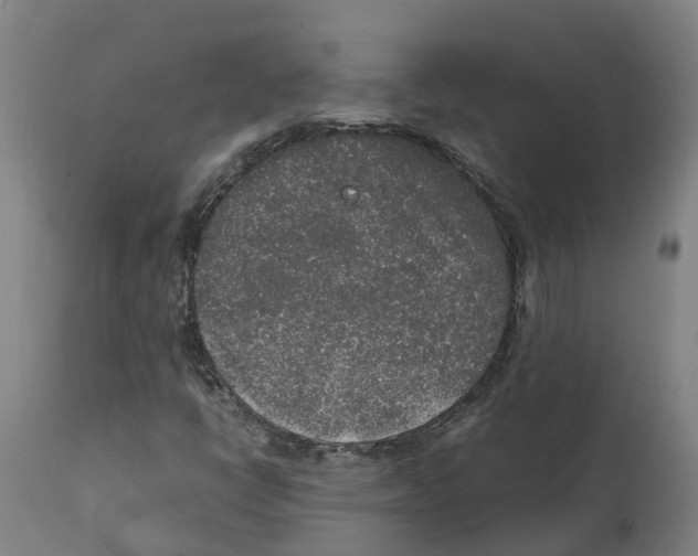 X0000111141398200907211127