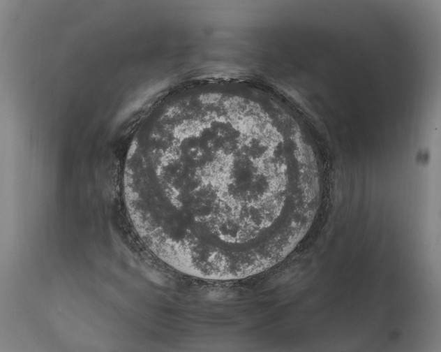 X0000111141399200907211127