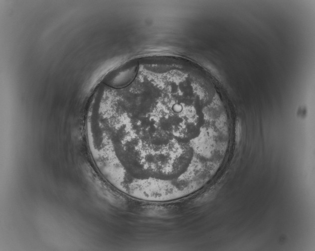 X0000111141405200907211127