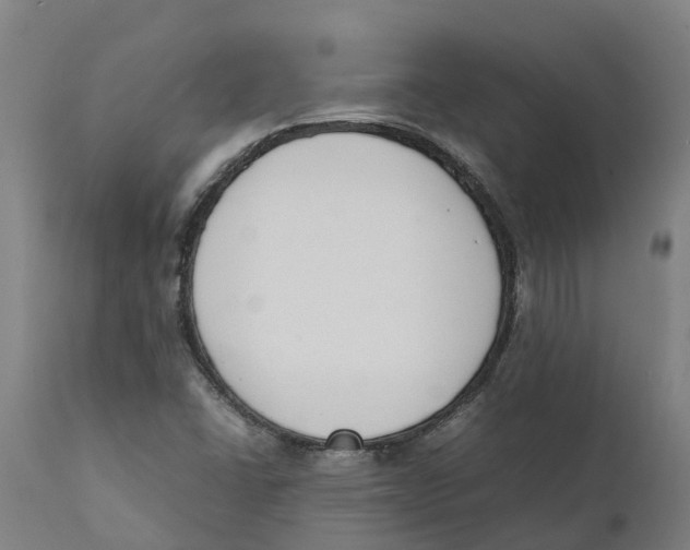 X0000111141406200907211127