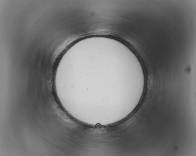 X0000111141410200907211127