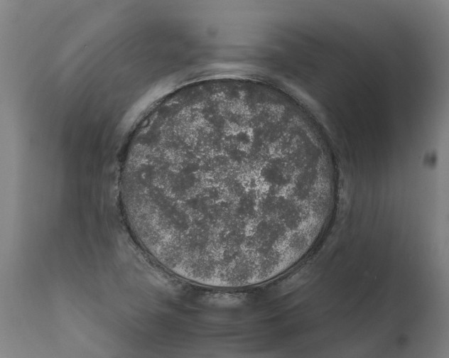 X0000111141411200907211127