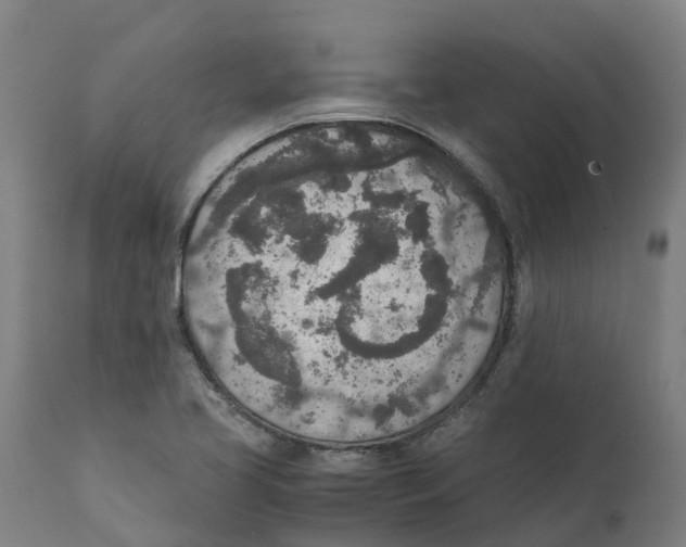 X0000111141413200907211127