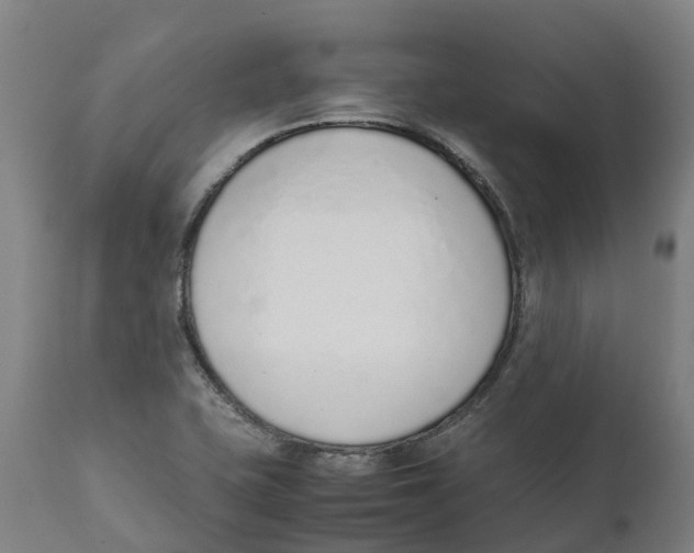 X0000111141415200907211127