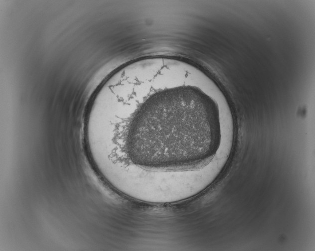 X0000111141418200907211128