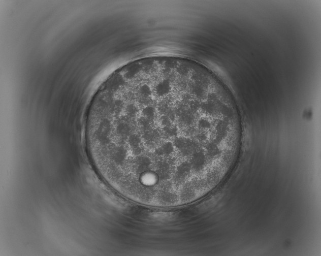 X0000111141419200907211128