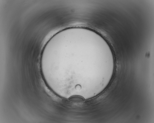 X0000111141421200907211128