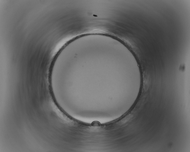 X0000111141422200907211128