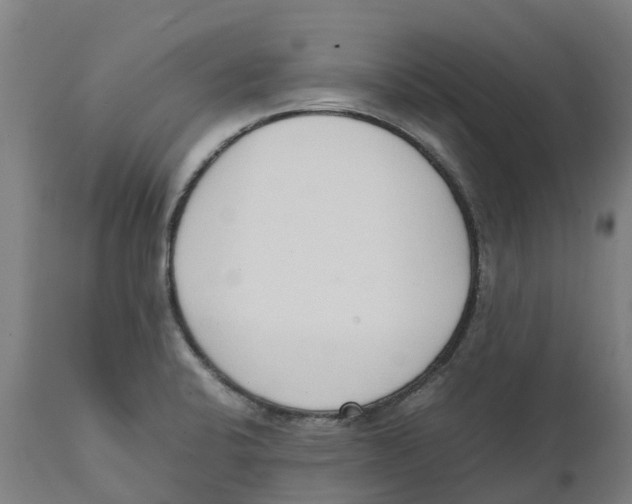 X0000111141424200907211128