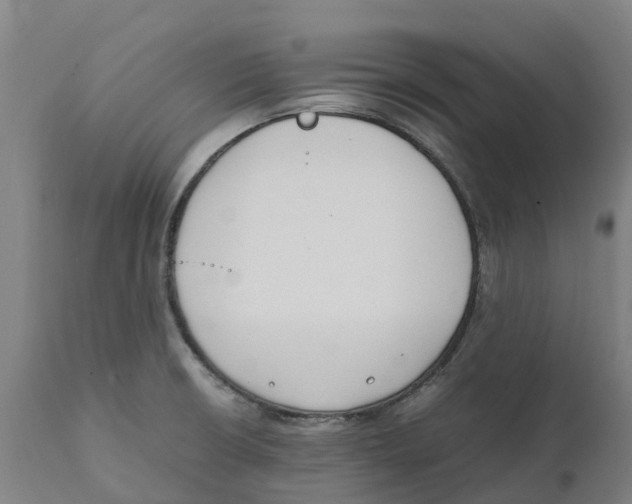 X0000111141426200907211128