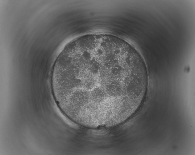 X0000111141429200907211128