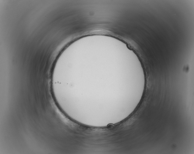 X0000111141430200907211128