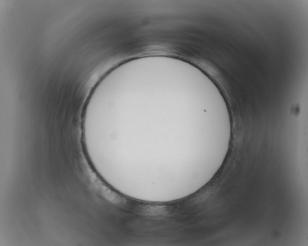 X0000111141431200907211128