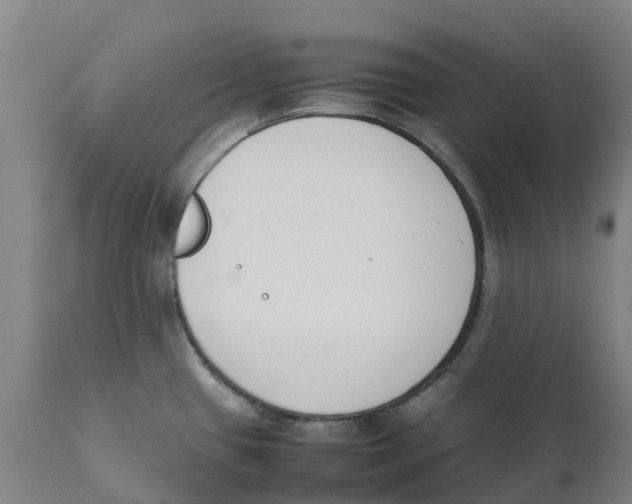 X0000111141433200907211128