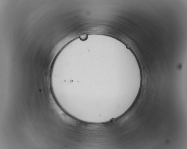 X0000111141434200907211128