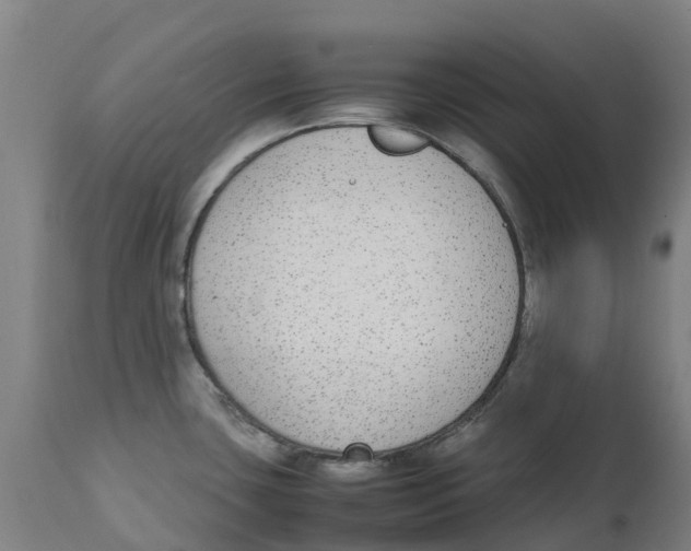 X0000111141435200907211128