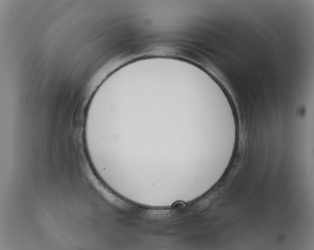 X0000111141437200907211128