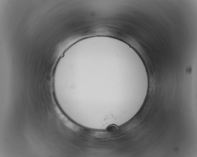 X0000111141439200907211128