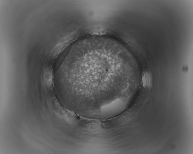 X0000111141444200907211127