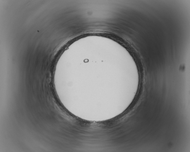 X0000111141449200907211127