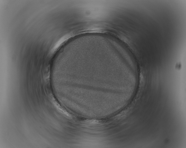 X0000111141450200907211127