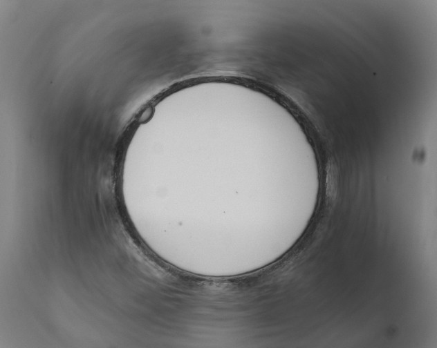 X0000111141452200907211127