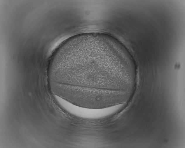 X0000111141453200907211127