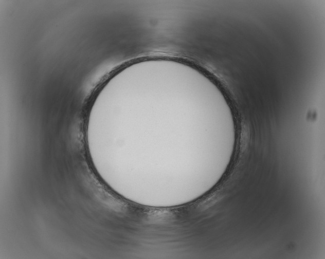 X0000111141454200907211127