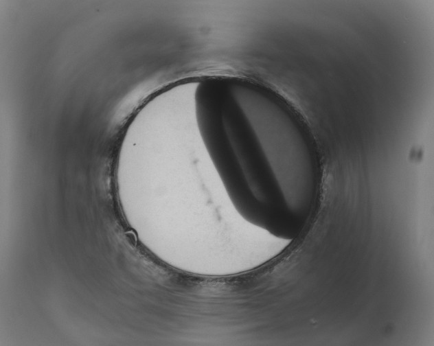 X0000111141455200907211127