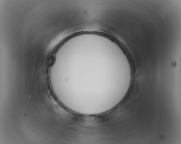 X0000111141456200907211127